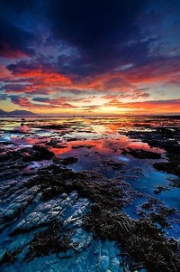 绿茵之上，足球引领体育新纪元