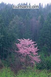 格拉纳达曙光：一场荡气回肠的胜利，点燃淘汰赛的希望之火