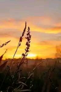 埃瓦尔主场大胜巴伦西亚，实现关键突破